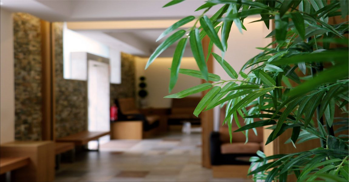 entrada-planta-min.jpg